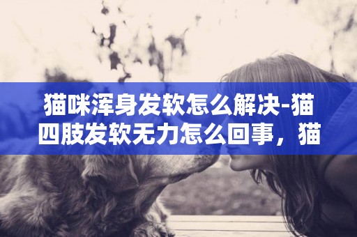貓咪渾身發軟怎么解決-貓四肢發軟無力怎么回事，貓四肢無力站不穩怎么了