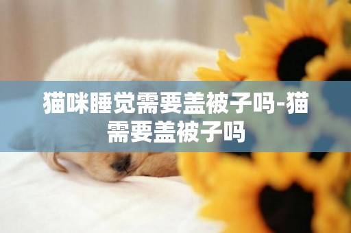 貓咪睡覺需要蓋被子嗎-貓需要蓋被子嗎