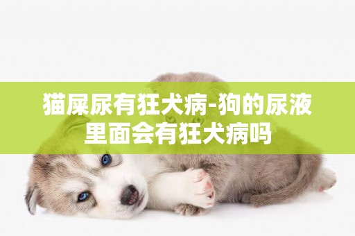 貓屎尿有狂犬病-狗的尿液里面會有狂犬病嗎