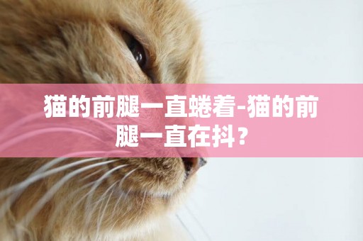 貓的前腿一直蜷著-貓的前腿一直在抖？