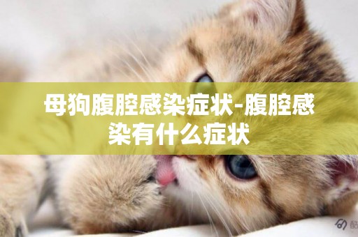 母狗腹腔感染癥狀-腹腔感染有什么癥狀