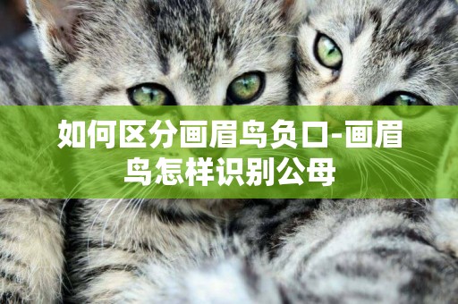 如何區分畫眉鳥負口-畫眉鳥怎樣識別公母
