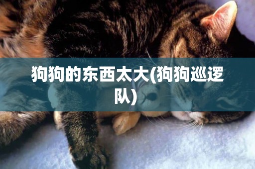 狗狗的東西太大(狗狗巡邏隊) 