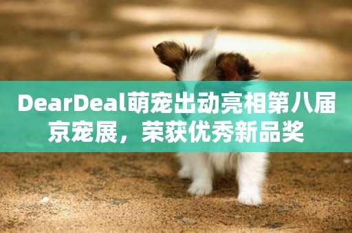 DearDeal萌寵出動亮相第八屆京寵展,榮獲優秀新品獎 DearDeal萌寵出動亮相第八屆京寵展,榮獲優秀新品獎