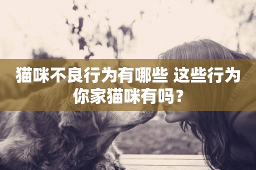 貓咪不良行為有哪些 這些行為你家貓咪有嗎？