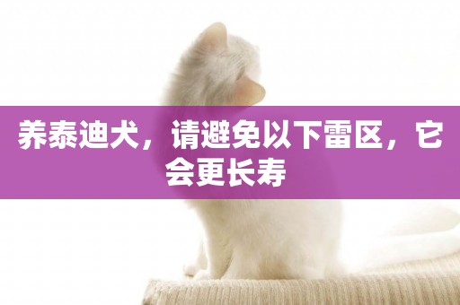 養泰迪犬，請避免以下雷區，它會更長壽 