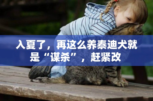入夏了，再這么養泰迪犬就是“謀殺”，趕緊改 