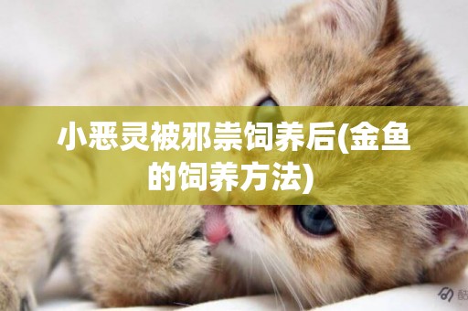 小惡靈被邪祟飼養后(金魚的飼養方法) 