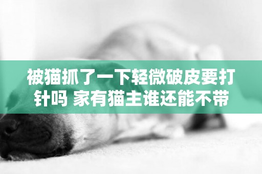 被貓抓了一下輕微破皮要打針嗎 家有貓主誰還能不帶點傷