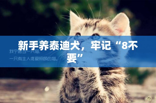新手養泰迪犬，牢記“8不要” 