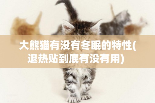 大熊貓有沒有冬眠的特性(退熱貼到底有沒有用) 