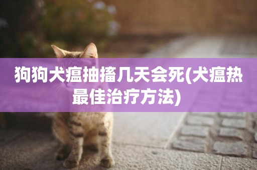 狗狗犬瘟抽搐幾天會死(犬瘟熱最佳治療方法) 