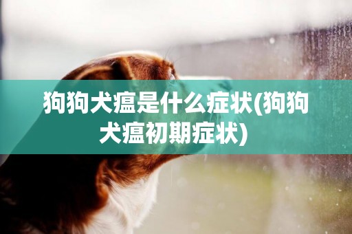 狗狗犬瘟是什么癥狀(狗狗犬瘟初期癥狀) 