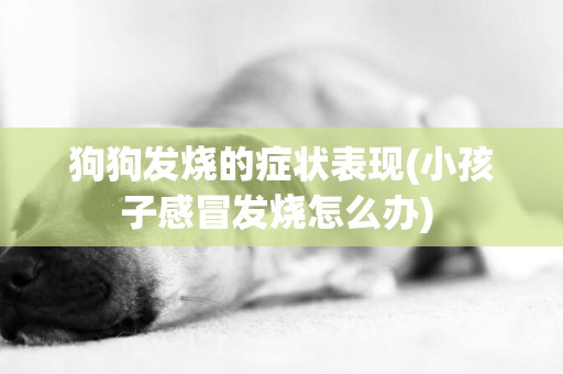 狗狗發燒的癥狀表現(小孩子感冒發燒怎么辦) 