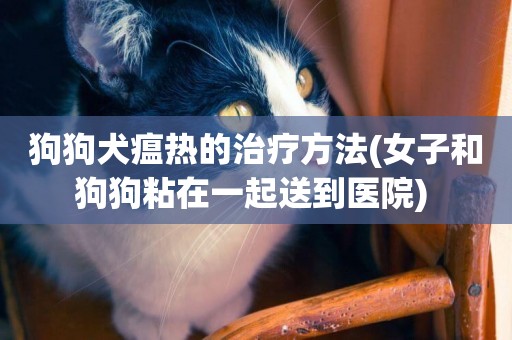 狗狗犬瘟熱的治療方法(女子和狗狗粘在一起送到醫院) 