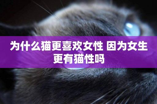 為什么貓更喜歡女性 因為女生更有貓性嗎