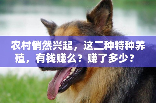 農村悄然興起，這二種特種養殖，有錢賺么？賺了多少？ 
