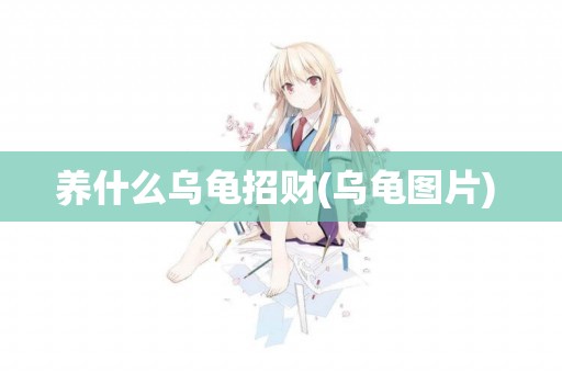 養什么烏龜招財(烏龜圖片) 