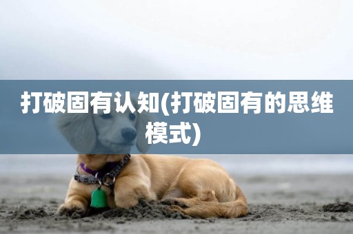 打破固有認知(打破固有的思維模式) 