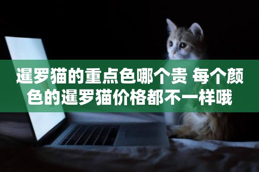 暹羅貓的重點色哪個貴 每個顏色的暹羅貓價格都不一樣哦