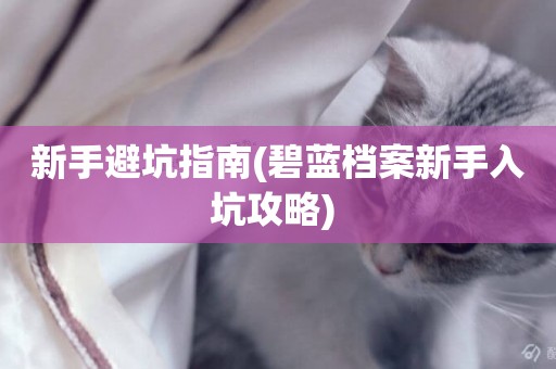 新手避坑指南(碧藍檔案新手入坑攻略) 
