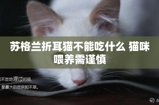 蘇格蘭折耳貓不能吃什么 貓咪喂養需謹慎