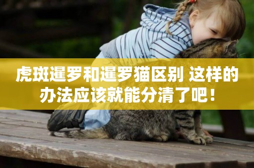 虎斑暹羅和暹羅貓區別 這樣的辦法應該就能分清了吧！