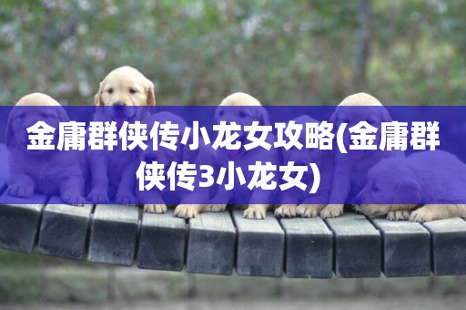 金庸群俠傳小龍女攻略(金庸群俠傳3小龍女) 