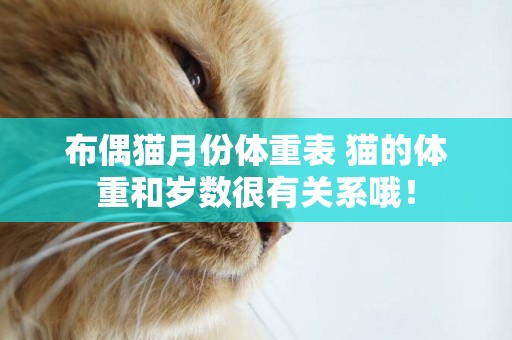 布偶貓月份體重表 貓的體重和歲數很有關系哦！