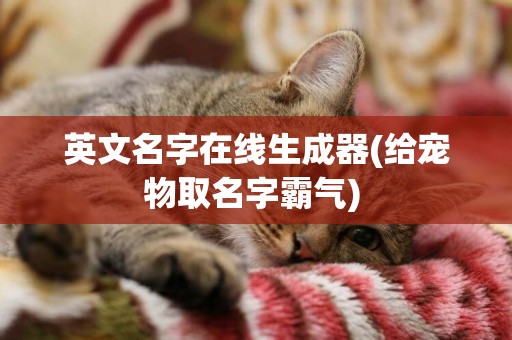 英文名字在線生成器(給寵物取名字霸氣) 
