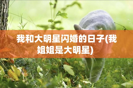 我和大明星閃婚的日子(我姐姐是大明星) 