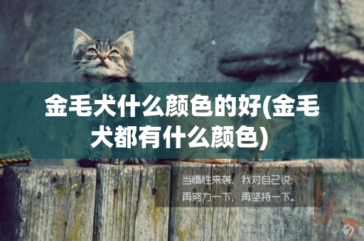 金毛犬什么顏色的好(金毛犬都有什么顏色) 