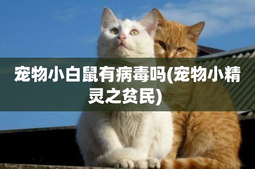 寵物小白鼠有病毒嗎(寵物小精靈之貧民) 