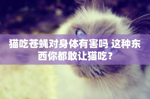 貓吃蒼蠅對身體有害嗎 這種東西你都敢讓貓吃？