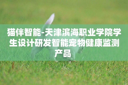 貓伴智能-天津濱海職業學院學生設計研發智能寵物健康監測產品 