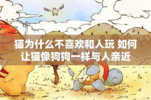 貓為什么不喜歡和人玩 如何讓貓像狗狗一樣與人親近