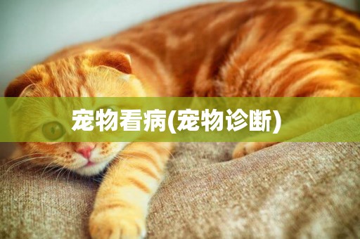 寵物看病(寵物診斷) 