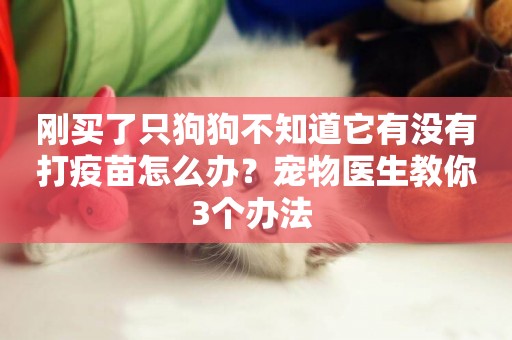 剛買了只狗狗不知道它有沒有打疫苗怎么辦？寵物醫生教你3個辦法 