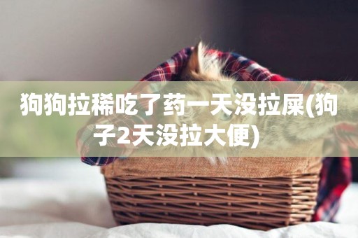 狗狗拉稀吃了藥一天沒拉屎(狗子2天沒拉大便) 