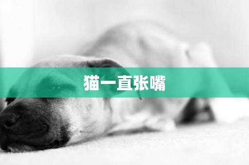 貓一直張嘴