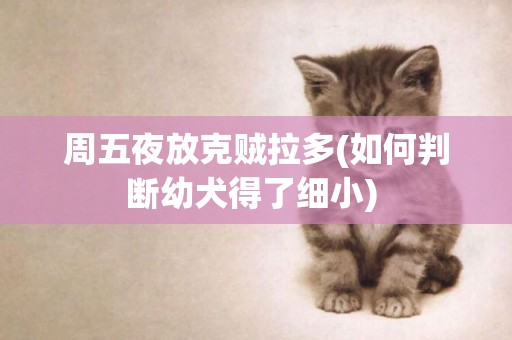 周五夜放克賊拉多(如何判斷幼犬得了細小) 