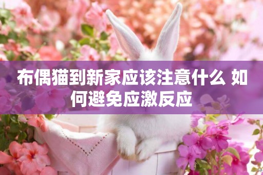 布偶貓到新家應該注意什么 如何避免應激反應
