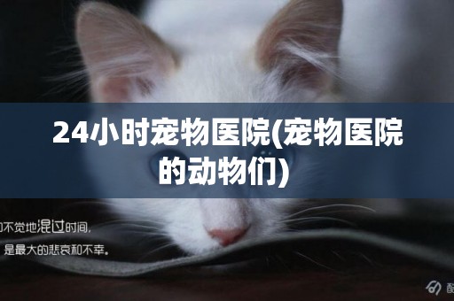 24小時寵物醫院(寵物醫院的動物們) 