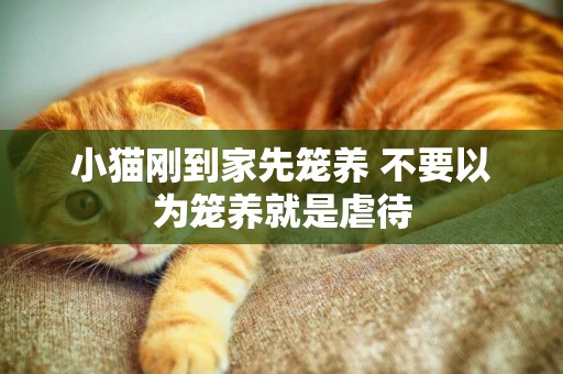 小貓剛到家先籠養 不要以為籠養就是虐待