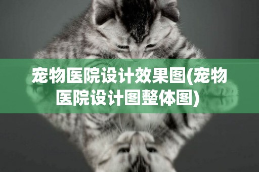 寵物醫院設計效果圖(寵物醫院設計圖整體圖) 
