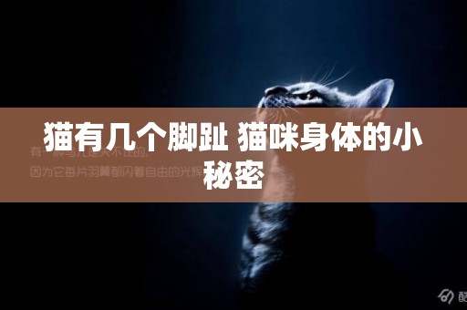 貓有幾個腳趾 貓咪身體的小秘密