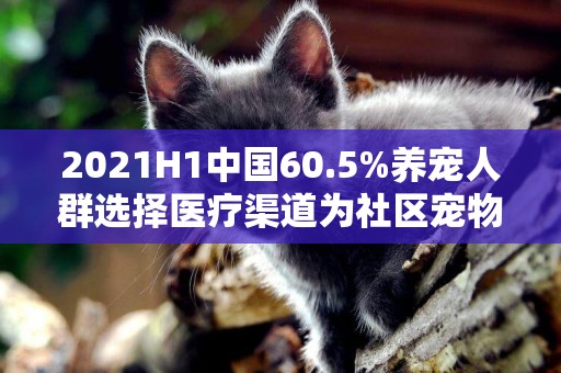 2021H1中國60.5%養寵人群選擇醫療渠道為社區寵物醫院 