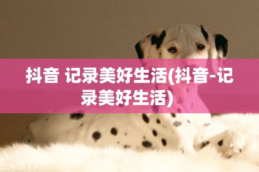 抖音 記錄美好生活(抖音-記錄美好生活) 
