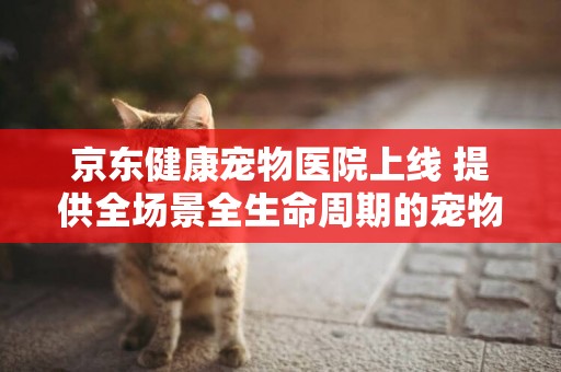 京東健康寵物醫院上線 提供全場景全生命周期的寵物醫療健康服務 