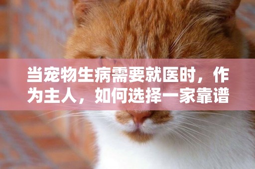 當寵物生病需要就醫時，作為主人，如何選擇一家靠譜的寵物醫院？ 